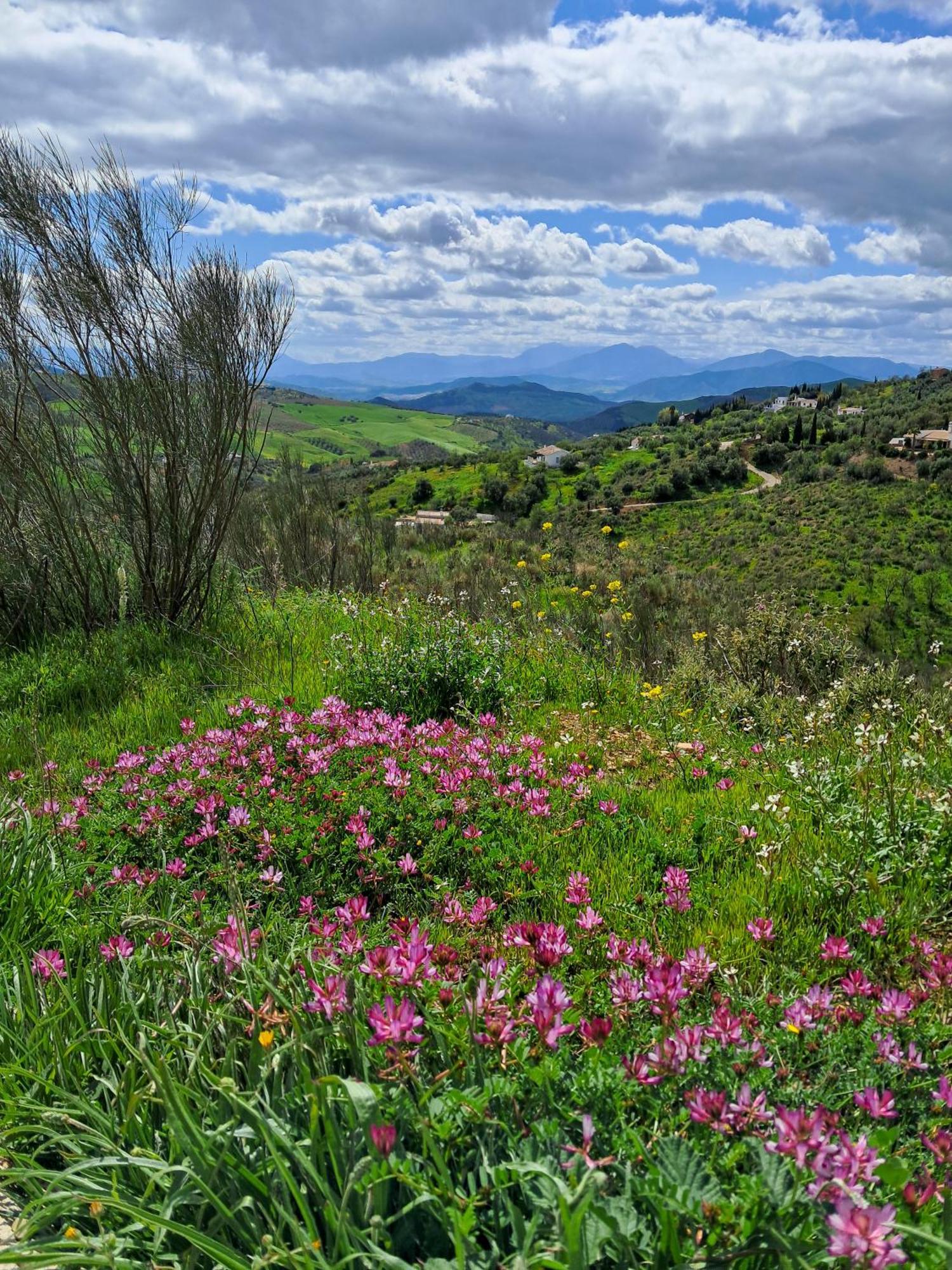 Finca Amorosa Villanueva de la Concepción Eksteriør billede